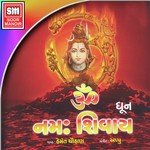 Om Namah Shivay (Dhoon) songs mp3