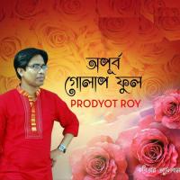 Opurbo Golap Phool songs mp3