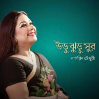 Amar Sapno Nasrin Chowdhury Song Download Mp3