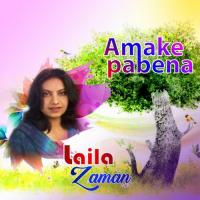 Tomake Kothay Jeno Laila Zaman Song Download Mp3