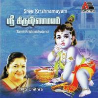 Sree Krishnamayam songs mp3