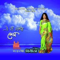 Hariye Gechhe Thakumar Jhuli Binita Song Download Mp3