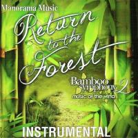 Return to the Forest (Bamboo Symphony - 2) songs mp3
