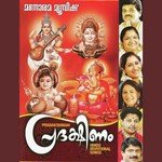 Kannane Kaananam Radhika Thilak Song Download Mp3