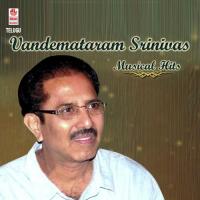 Vandemataram Srinivas Musical Hits songs mp3