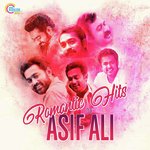 Romantic Hits of Asif Ali songs mp3