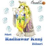 Shri Radhawar Kunj Bihari songs mp3