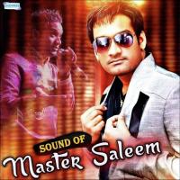 Sajna Tu Sasta Kyon Vikya (From "Rahe Chardi Kala Punjab Di") Master Saleem Song Download Mp3