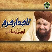 Taj Dar E Haram Alhajj Muhammad Owais Raza Qadri Song Download Mp3