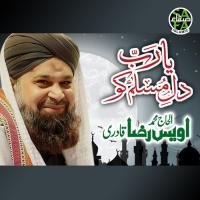 Ya Rab Dil Muslim Alhajj Muhammad Owais Raza Qadri Song Download Mp3