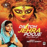 Raahan Vich Phull Neetu Singh Song Download Mp3