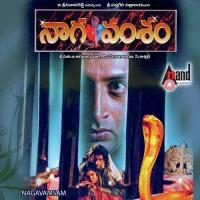 Nagavamsam songs mp3