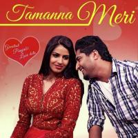 Tamanna Meri - Greatest Punjabi Love Hits songs mp3
