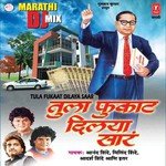 Bhimala Jaavai Buwa Milind Shinde Song Download Mp3