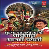 Aatish Wajavre Dholki Jagdish Patil Song Download Mp3