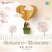 Romance Blossoms - 80s Hits songs mp3