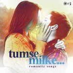 Tumse Milke (From "Parinda") Asha Bhosle,Suresh Wadkar Song Download Mp3