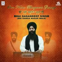 Oun Namo Bhagwant Gusaayi Bhai Gagandeep Singh Song Download Mp3