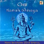 Om Namah Shivaya - At 432 Hz Pandit Rajan Mishra,Pt. Sajan Mishra Song Download Mp3