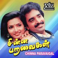 Chinna Paravaigal songs mp3