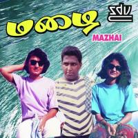 Vaazhvai Rasipena Thiruchi Thiagarajan Song Download Mp3