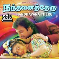 Anniya Kaattu Annanea Mano,Swarnalatha Song Download Mp3