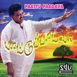 Vazhividu Vazhividu S.P. Balasubrahmanyam Song Download Mp3