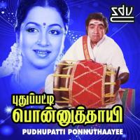Pudhupatti Ponnuthaayee songs mp3