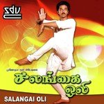 Vaanam Polea Vannam S.P. Balasubrahmanyam,S.P. Sailaja Song Download Mp3