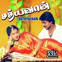 Sathyavaan songs mp3
