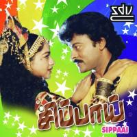 Vandhitha Kiranaa S.P. Balasubrahmanyam Song Download Mp3