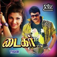 Tiger songs mp3