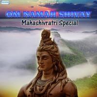 Namaste Rudra (From "The Dancing God Shiva") Dilip Naik Song Download Mp3