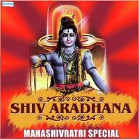 Shiv Aradhana - Mahashivratri Special songs mp3