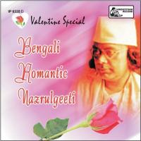 Valentine Special Bengali Romantic Nazrul Geeti songs mp3