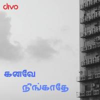 Kanave Neengathe Jude Niranjan,Sivaramakrishnan Chandrasekaran Song Download Mp3