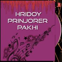 Hridoy Prinjorer Pakhi songs mp3