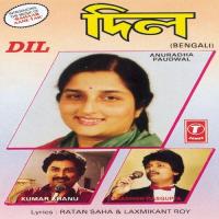 Ami Prem Ki Janina Anuradha Paudwal,Debashish Dasgupta Song Download Mp3