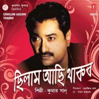 Jadi Megher Sathe Kumar Sanu Song Download Mp3