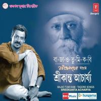 Bajao Tumi Kabi -Tagore Songs songs mp3