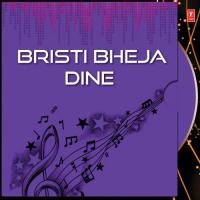 Bristi Bheja Dine songs mp3