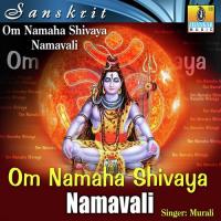 Om Namaha Shivaya Namavali songs mp3