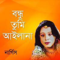 Sukher Asay Pirit Nargis Song Download Mp3