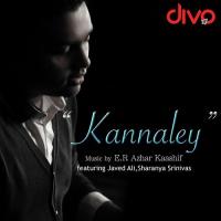 Kannaley Javed Ali,Sharanya Srinivas Song Download Mp3