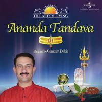 Ananda Tandava - The Art Of Living songs mp3