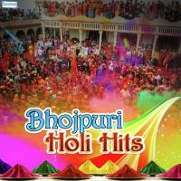 Bhojpuri Holi Hits songs mp3