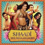 Shaadi Shubhaarambh songs mp3
