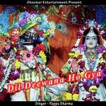 Dil Deewana Ho Gya songs mp3