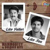 Like Father Like Son - Mammootty And Dulquer Hits 1 songs mp3