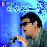 Pudhu Vellai Mazhai Unni Menon,Sujatha Mohan Song Download Mp3